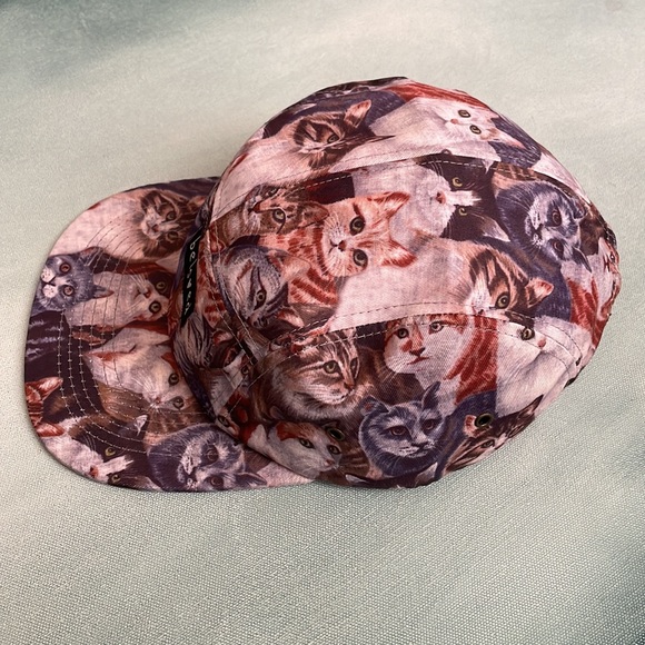 Cat Baseball Cap Hat plus Lamb Chop Cat Toy - Picture 9 of 15